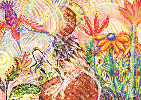 Garden Snippets Summer