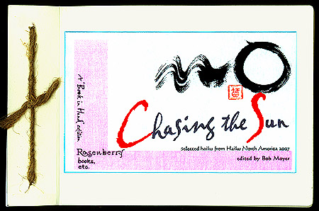 Chasing the Sun