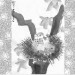 The Winking Stars - frontispiece thumbnail