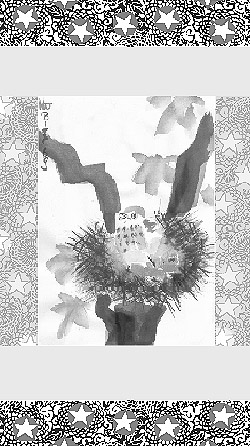 The Winking Stars - frontispiece