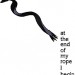 Ask! again - rope thumbnail