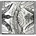 rbewillowbirds thumbnail